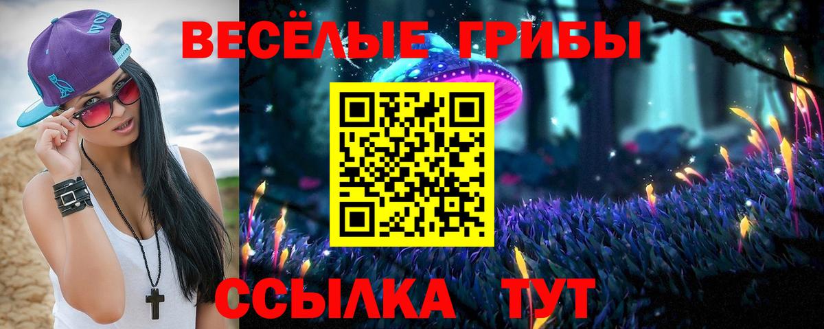 Псилоцибиновые грибы Psilocybine cubensis Рыбинск