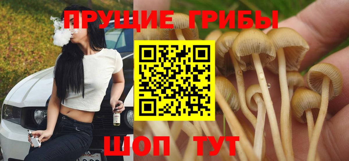 Галлюциногенные грибы мицелий  Галлюциногенные грибы Psilocybine cubensis  Рыбинск  Вход с VPN 